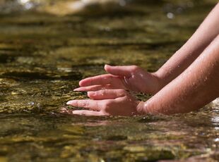 Das Thema Wasser in Kita und Tagespflege