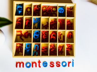 Montessori 1: Grundlagen